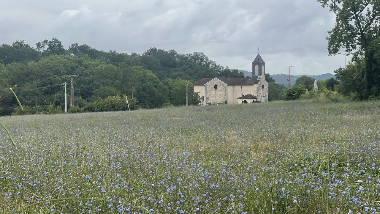 S04 - E05 De Arthez-de-Béarn à Navarrenx: des invités sur le chemin !