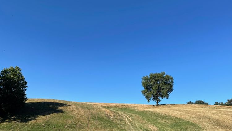 S03 - E03 De Lauzerte à Moissac, le bas Quercy