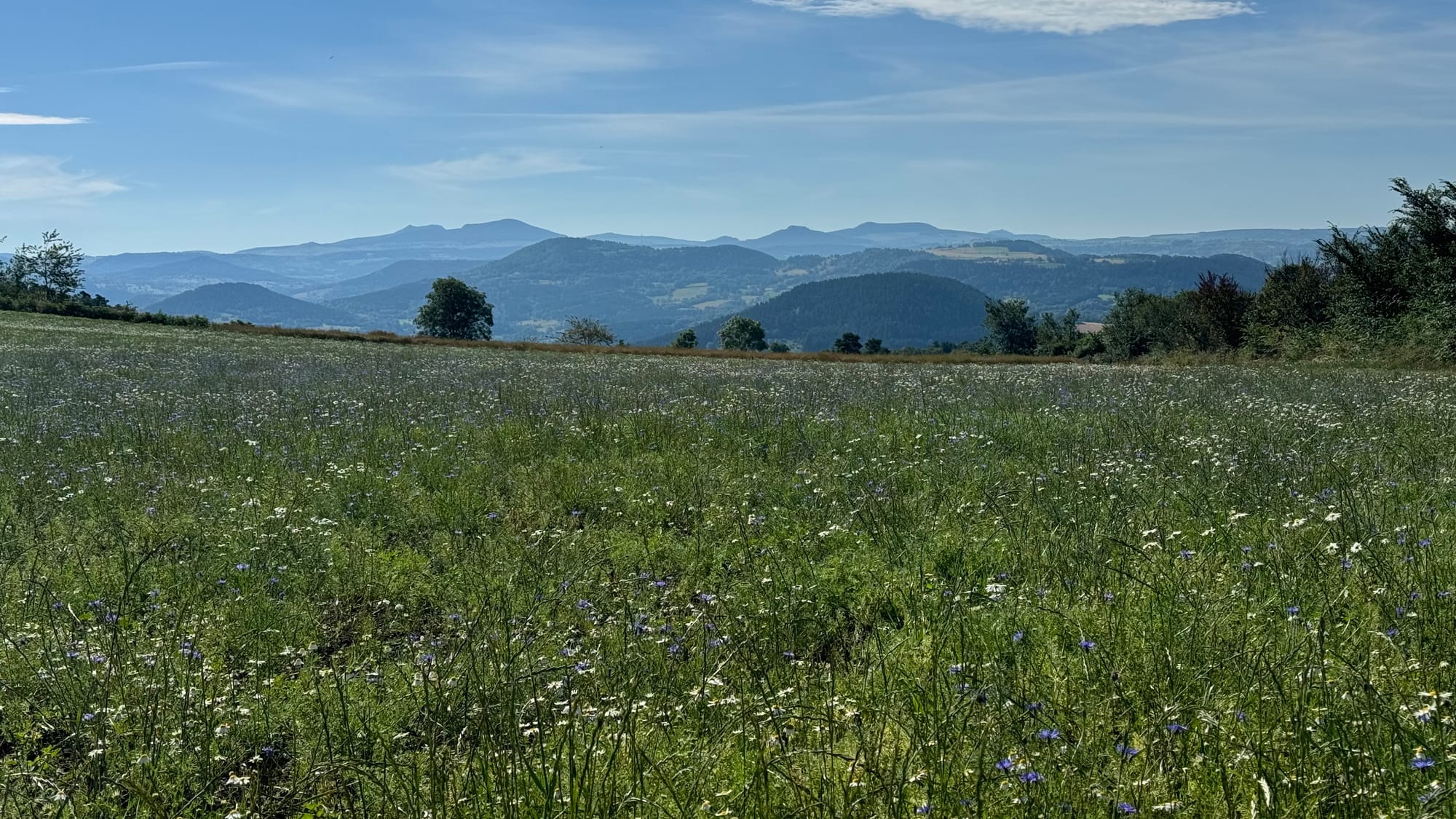 S01 - E01: Du Puy-en Velay au Monastier-sur-Gazeille 19 km