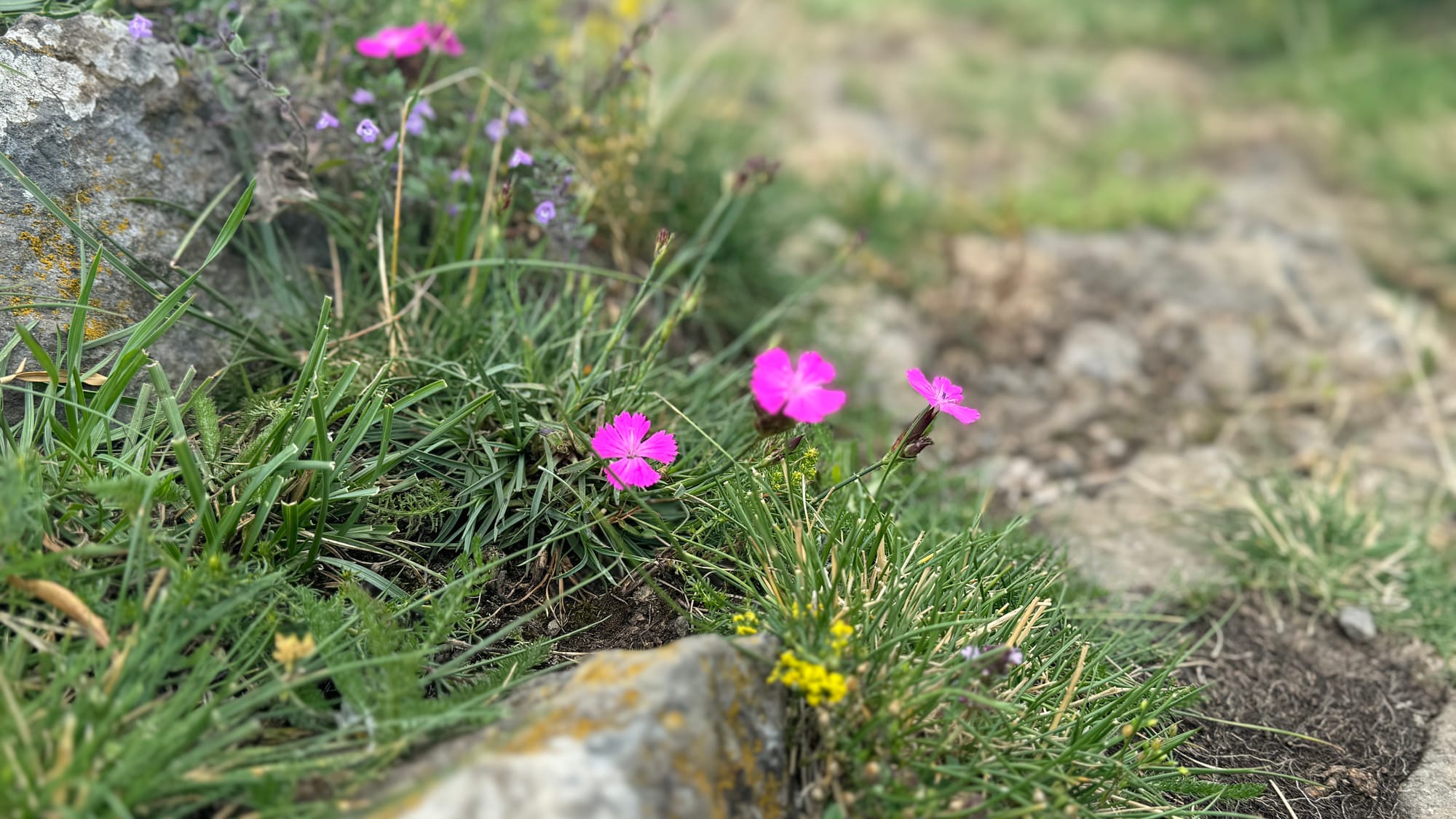 S01 - E01: Du Puy-en Velay au Monastier-sur-Gazeille 19 km