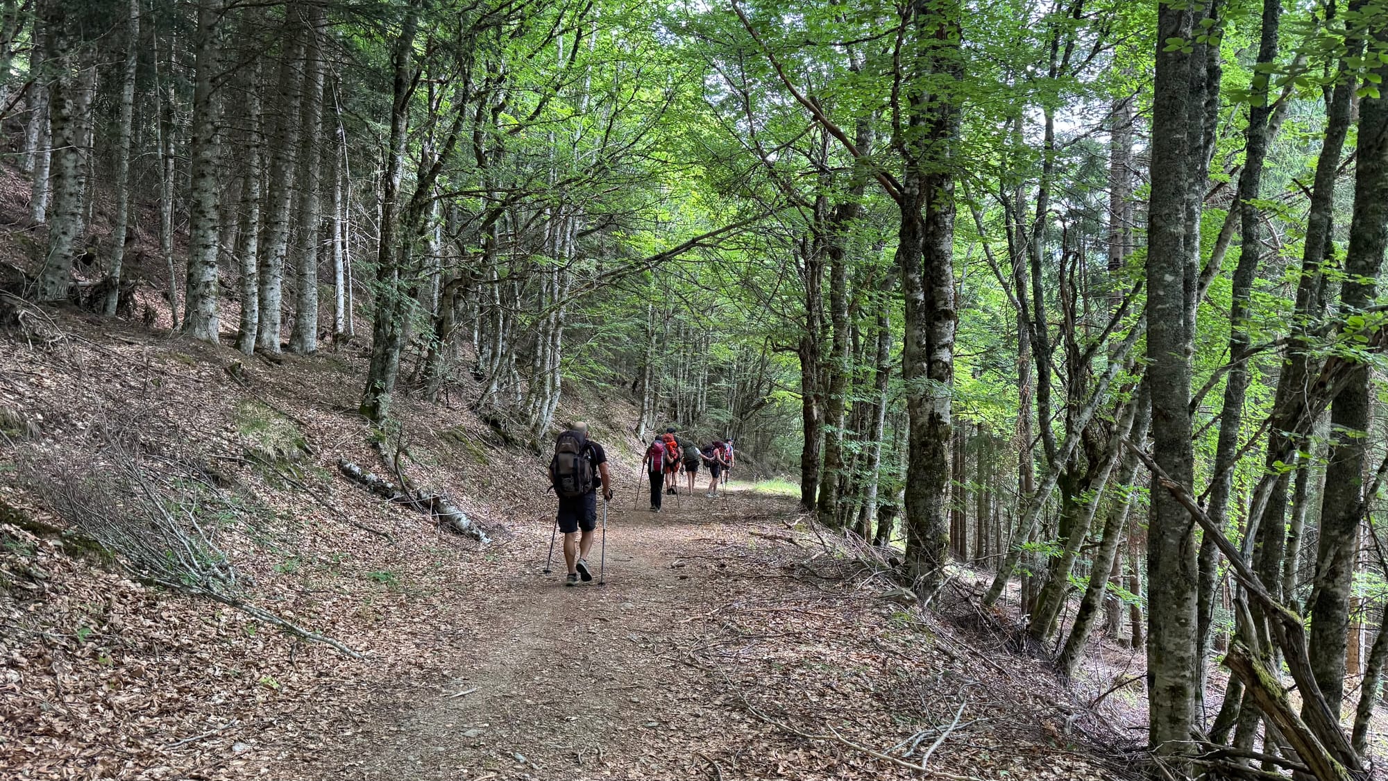 S02 - E01 - Reprise au rythme des basses - de Chasserades au mont Lozère - 22,3kms (25 en fait)