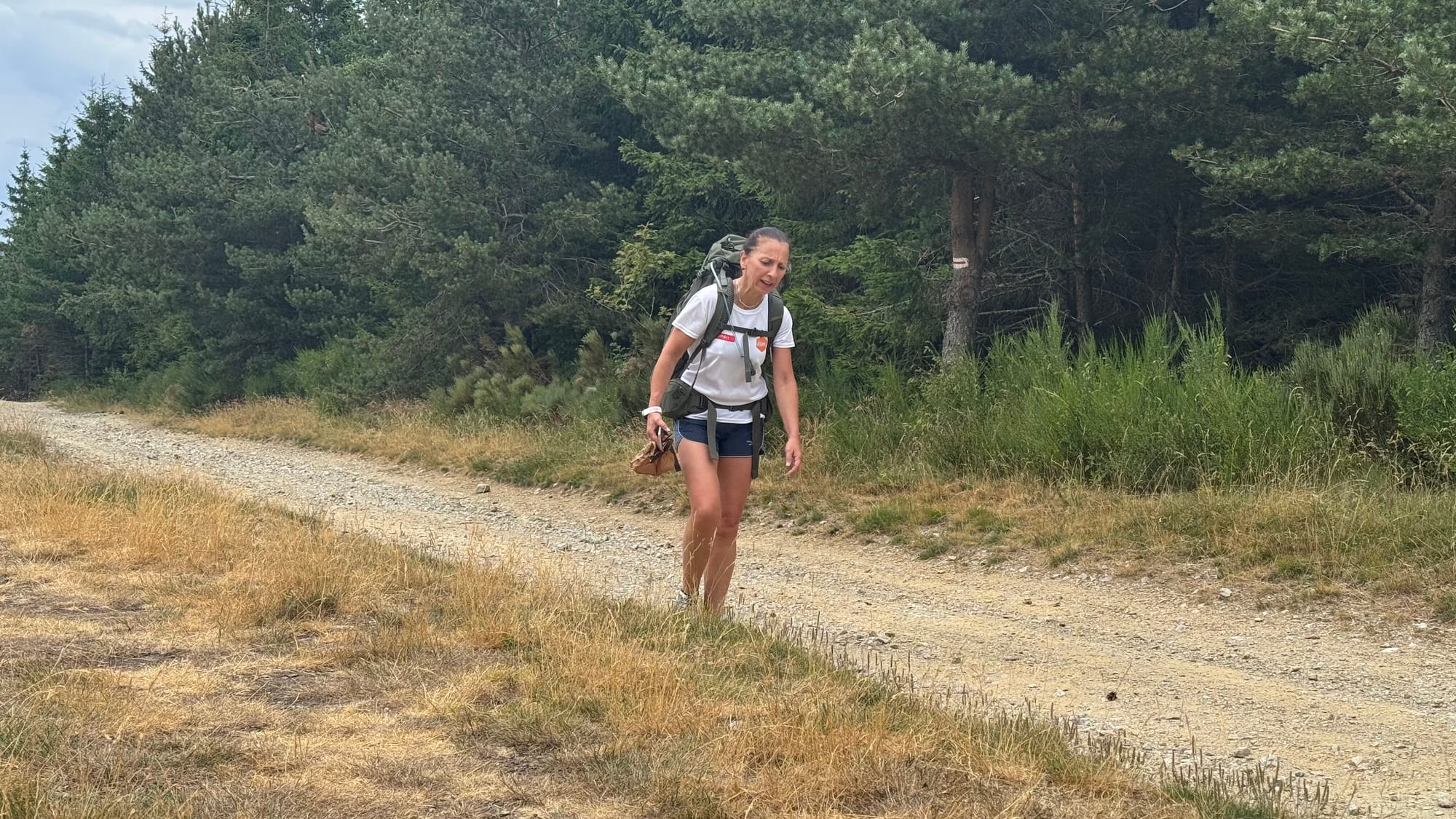 S02 - E01 - Reprise au rythme des basses - de Chasserades au mont Lozère - 22,3kms (25 en fait)