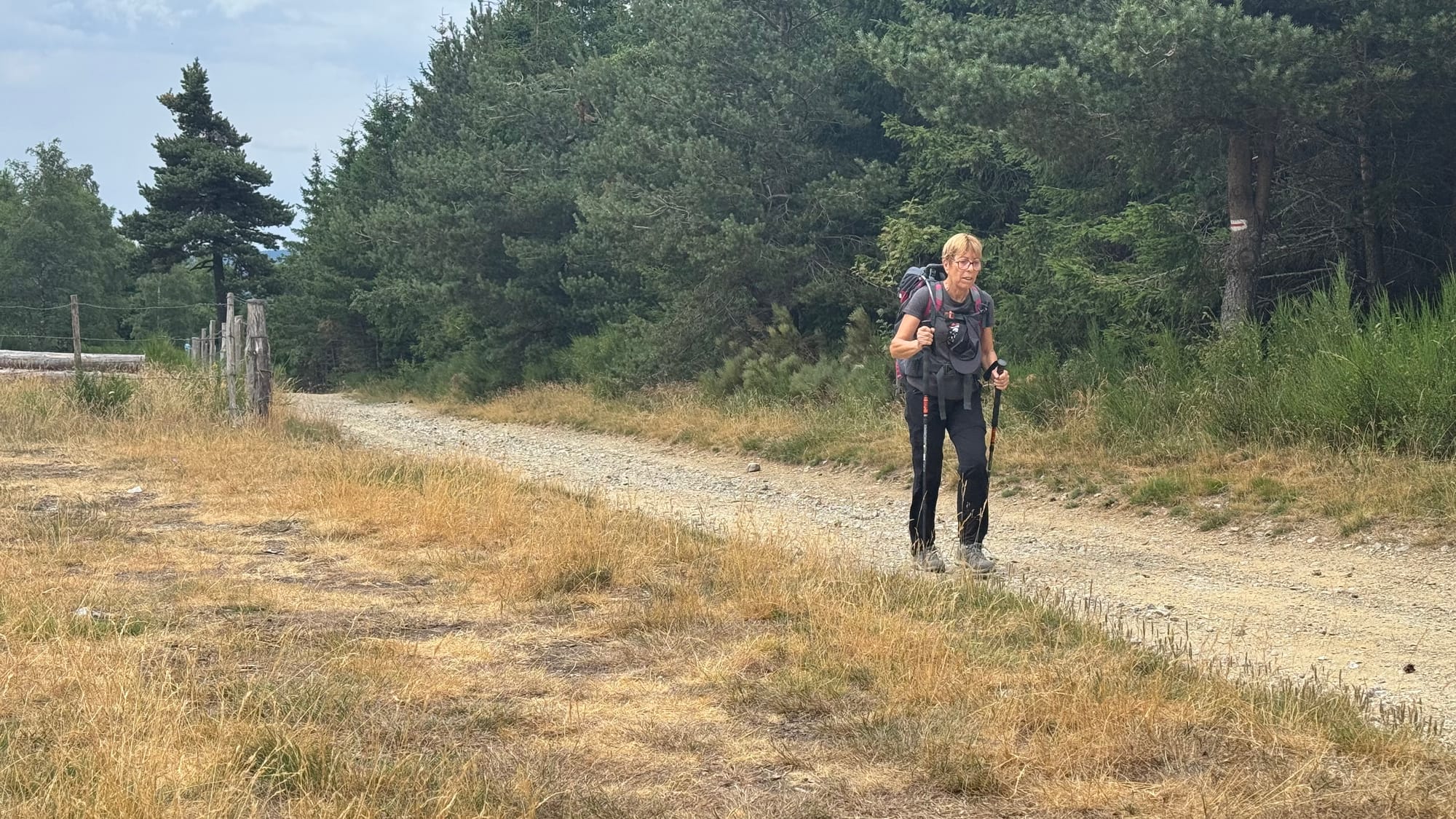 S02 - E01 - Reprise au rythme des basses - de Chasserades au mont Lozère - 22,3kms (25 en fait)