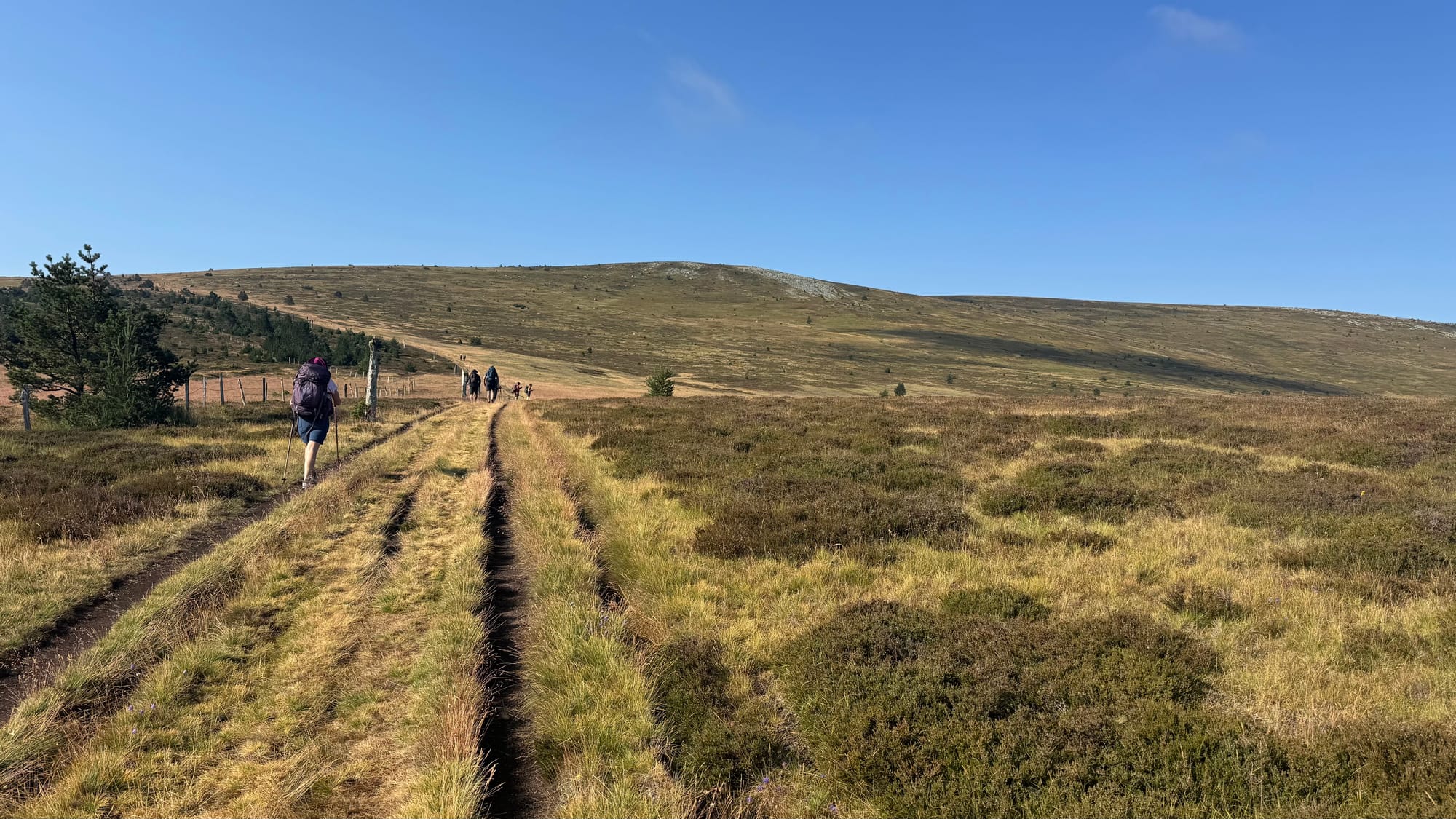S02 - E02 De la station du Mont Lozère au Pont de Montvert-variante par le GR7 et la  plaine du Tarn-27 kilomètres