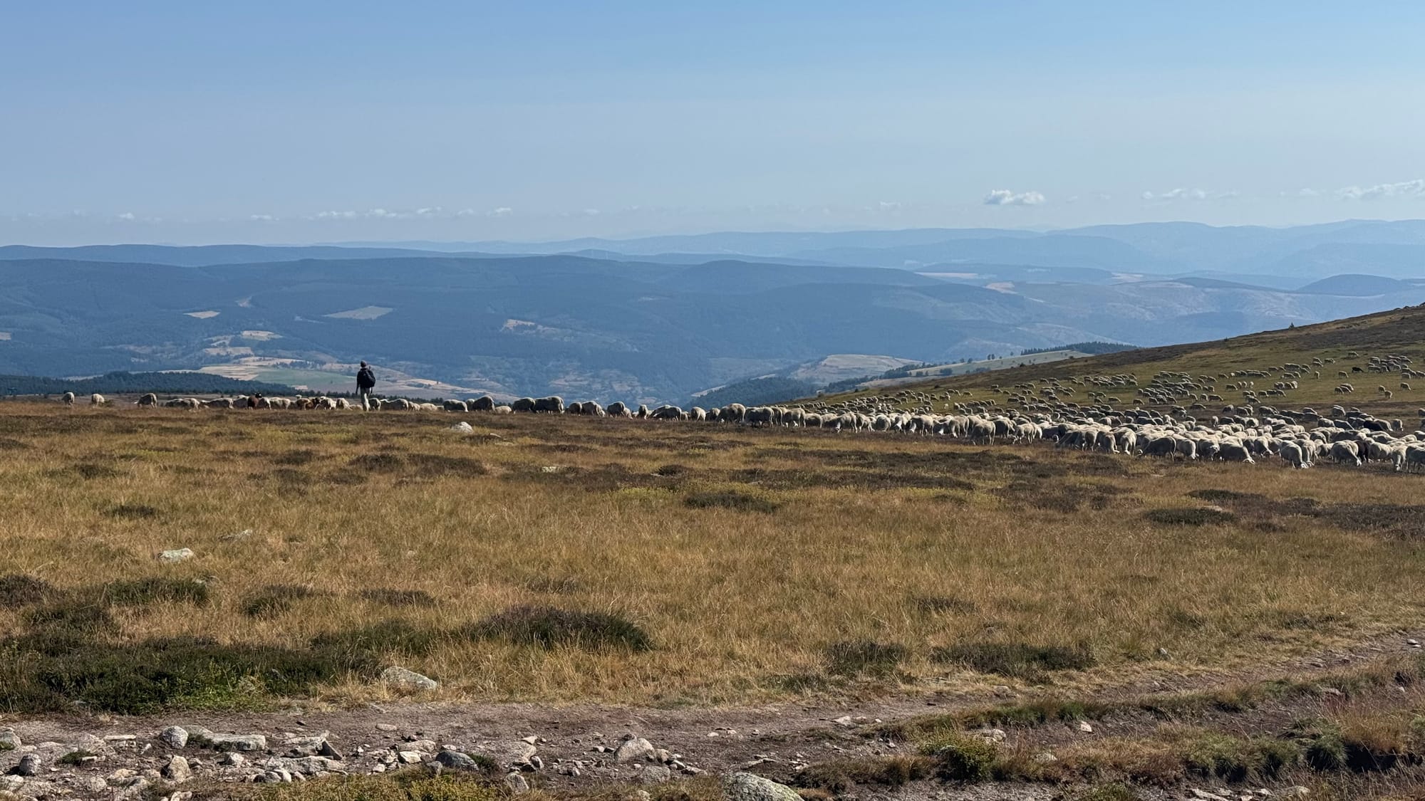S02 - E02 De la station du Mont Lozère au Pont de Montvert-variante par le GR7 et la  plaine du Tarn-27 kilomètres