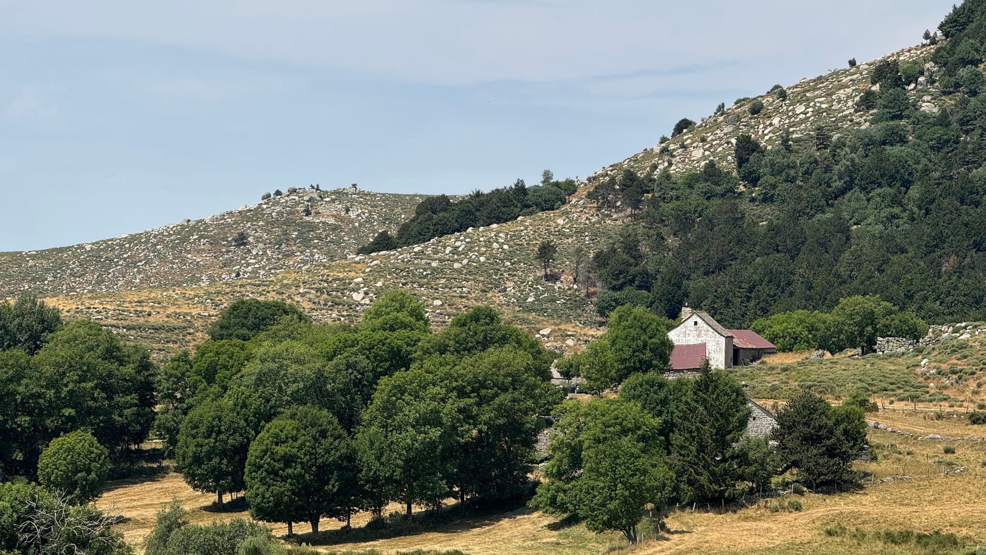 S02 - E02 De la station du Mont Lozère au Pont de Montvert-variante par le GR7 et la  plaine du Tarn-27 kilomètres