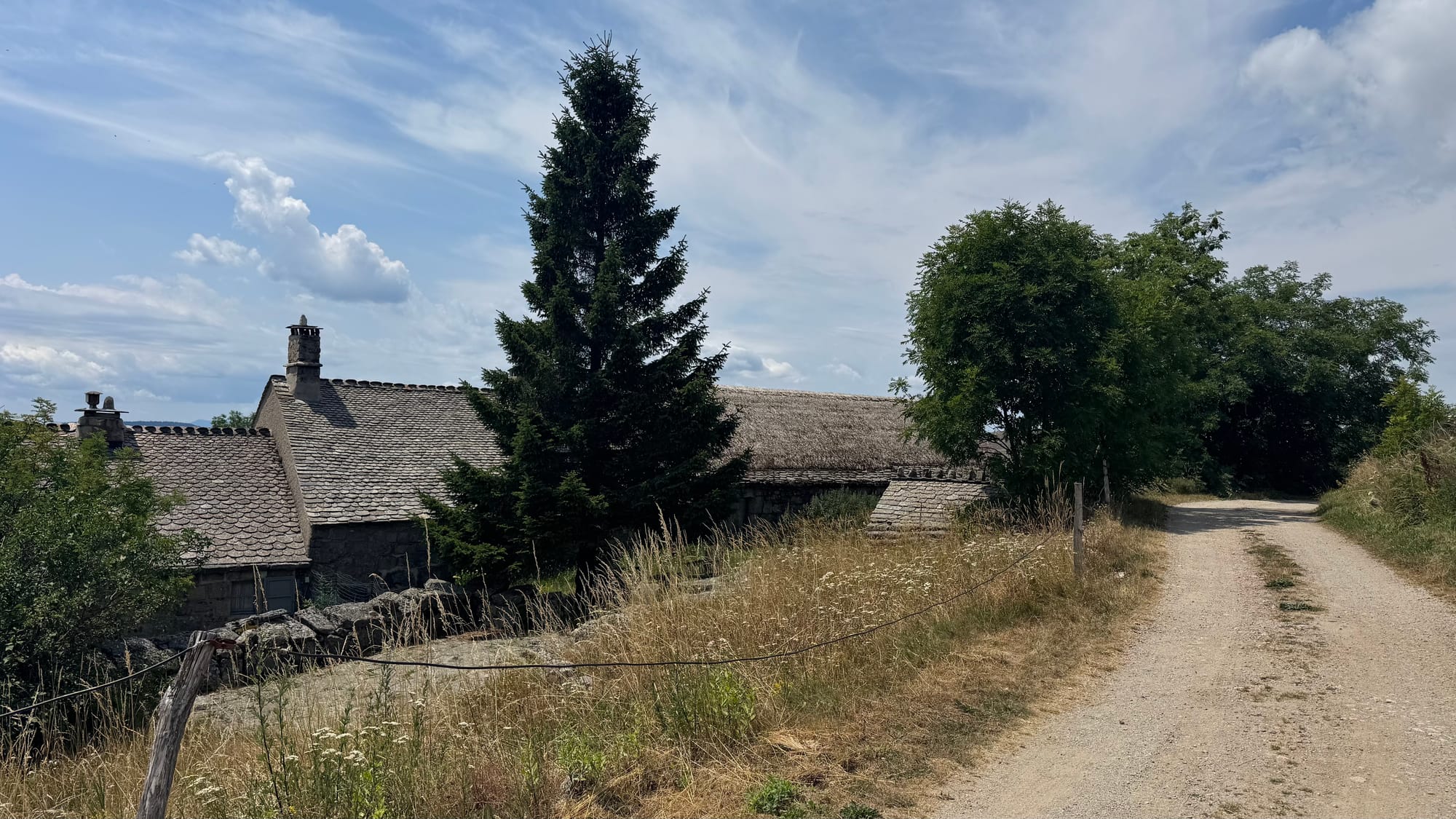 S02 - E02 De la station du Mont Lozère au Pont de Montvert-variante par le GR7 et la  plaine du Tarn-27 kilomètres