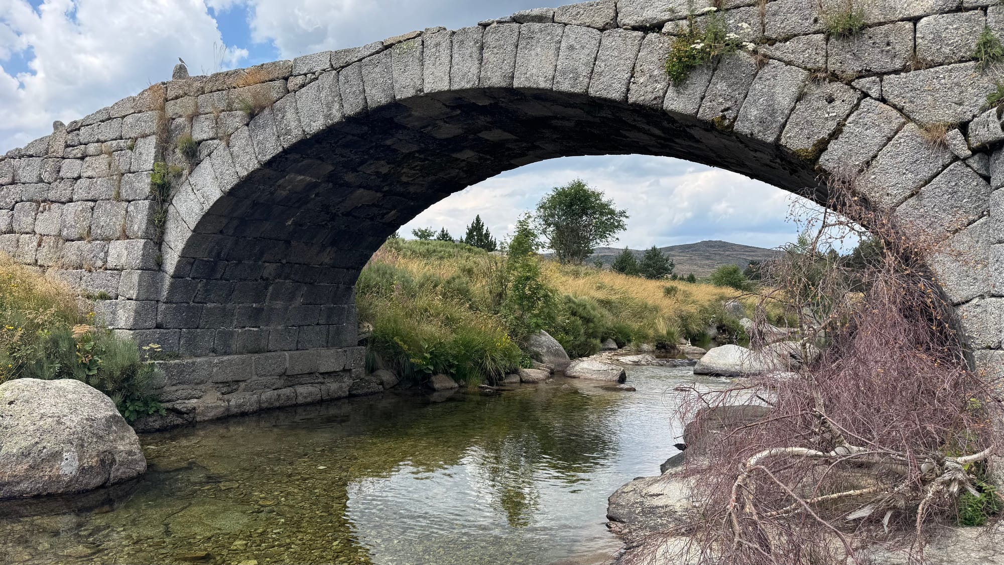 S02 - E02 De la station du Mont Lozère au Pont de Montvert-variante par le GR7 et la  plaine du Tarn-27 kilomètres