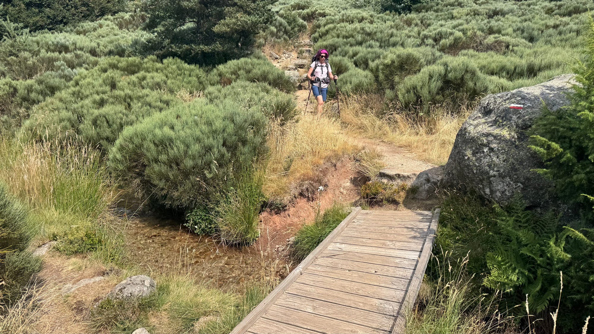 S02 - E02 De la station du Mont Lozère au Pont de Montvert-variante par le GR7 et la  plaine du Tarn-27 kilomètres