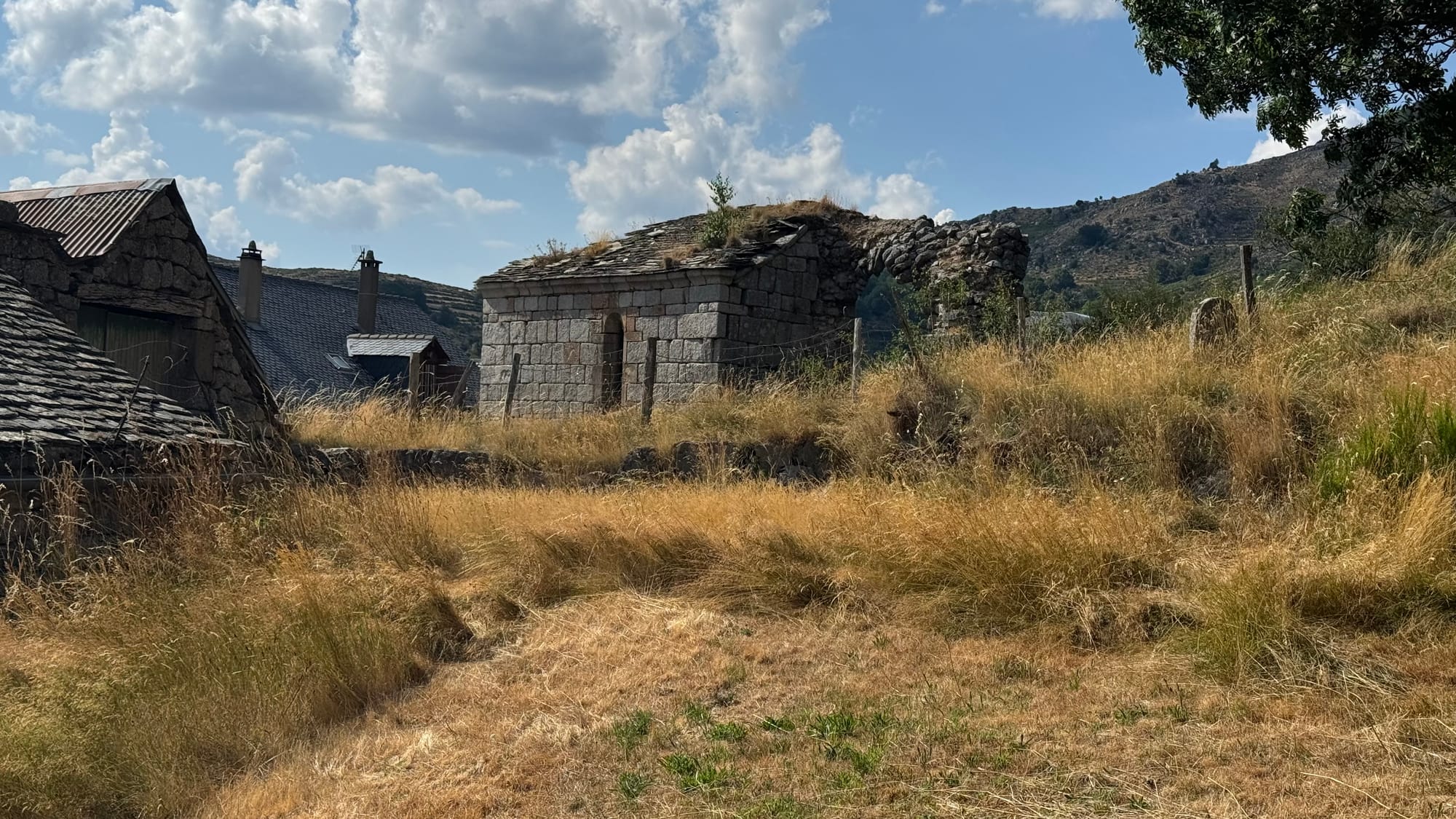 S02 - E02 De la station du Mont Lozère au Pont de Montvert-variante par le GR7 et la  plaine du Tarn-27 kilomètres