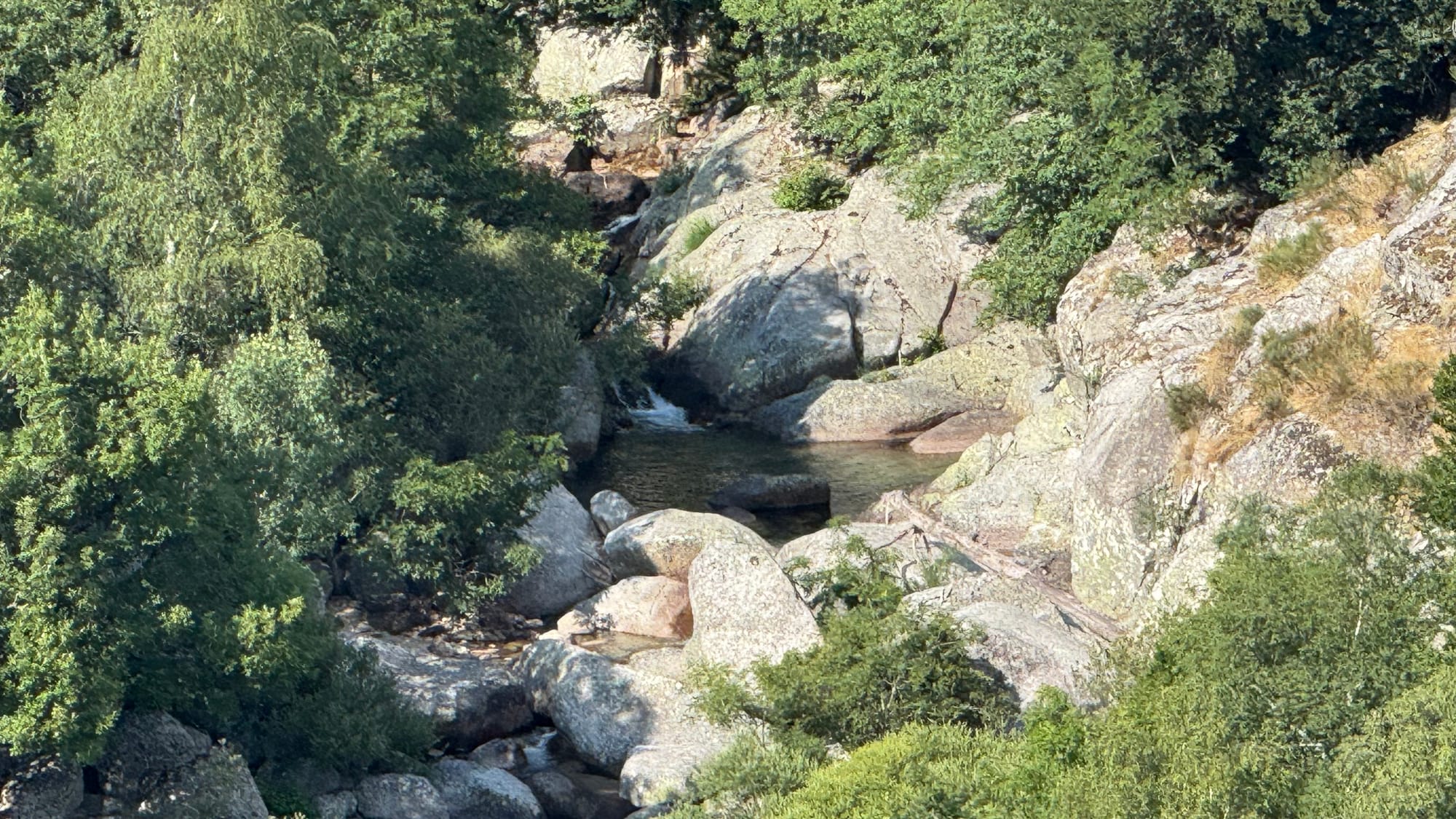S02 - E02 De la station du Mont Lozère au Pont de Montvert-variante par le GR7 et la  plaine du Tarn-27 kilomètres