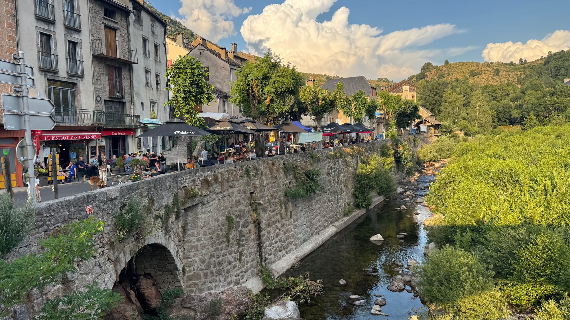 S02 - E02 De la station du Mont Lozère au Pont de Montvert-variante par le GR7 et la  plaine du Tarn-27 kilomètres