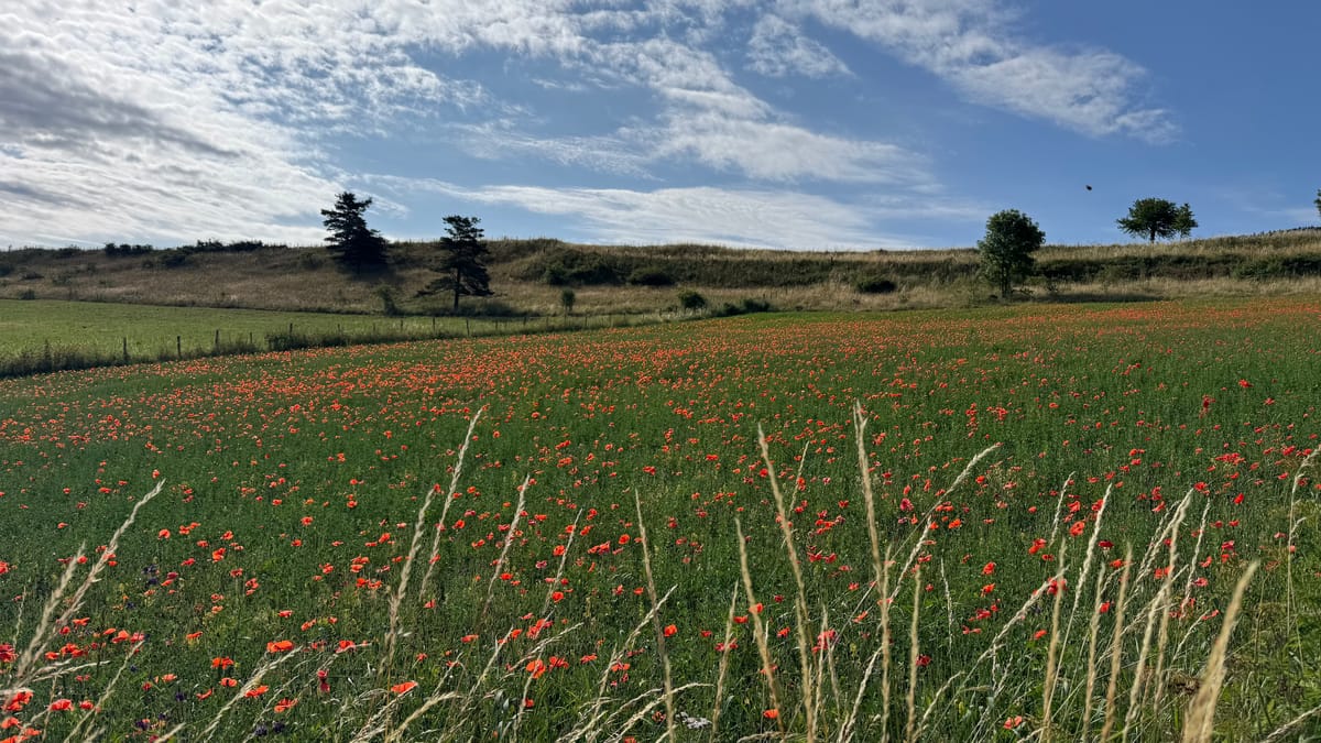 S02 - E01 - Reprise au rythme des basses - de Chasserades au mont Lozère - 22,3kms (25 en fait)